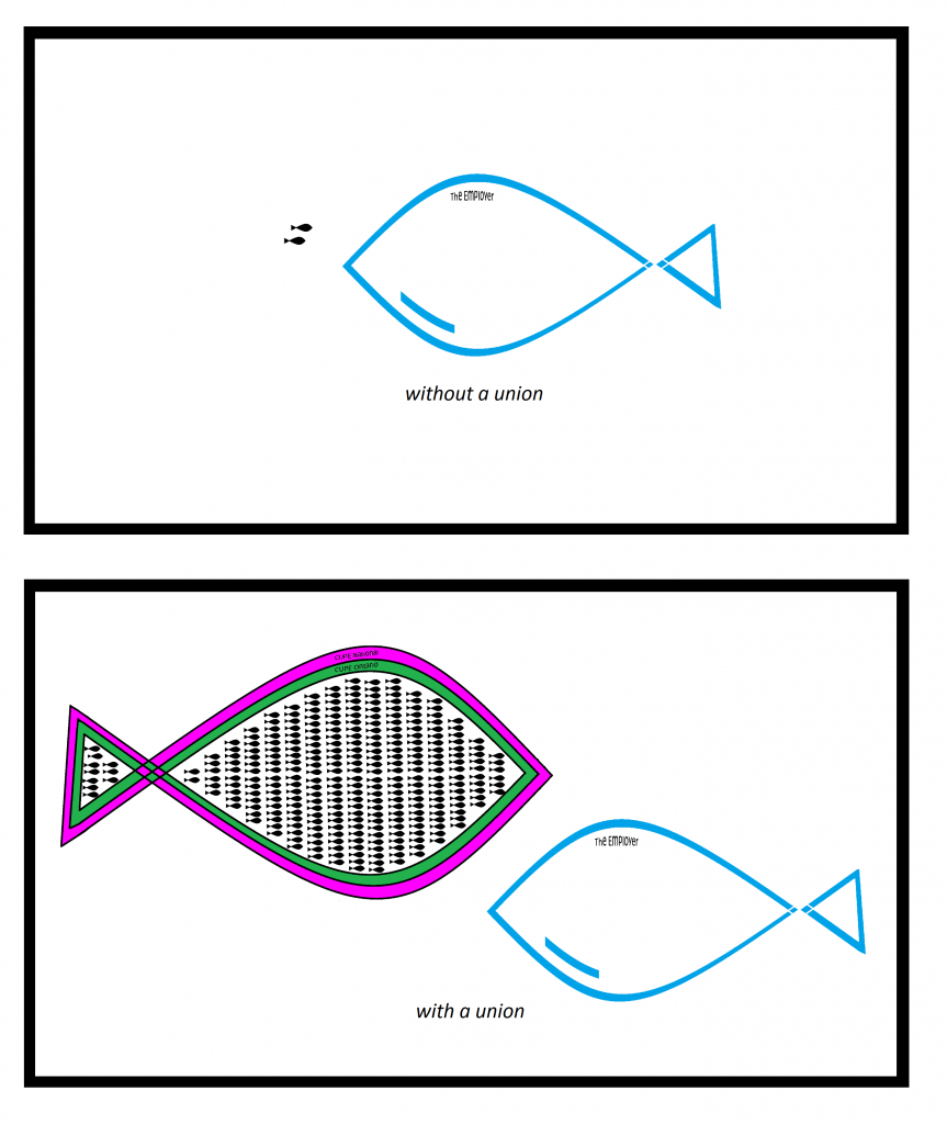 fish org chart 5